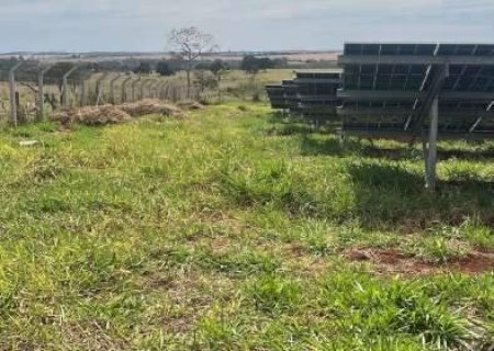 Grupo é preso após furto em usina fotovoltaica às margens da rodovia