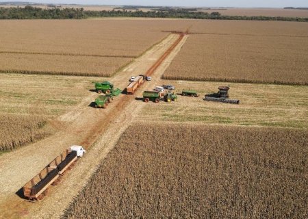 Novo seguro rural pode ampliar proteção ao produtor de soja e milho