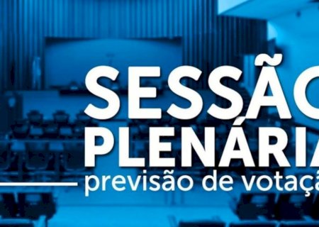 ALEMS vota projeto de combate ao idadismo e pela inclusão geracional