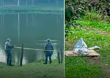 Bebe de 10 meses morre afogada e mãe é detida sob suspeita de tentar matar os três filhos em Presidente Prudente