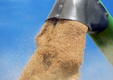 Brasil pode precisar importar até 9 milhões de toneladas de trigo