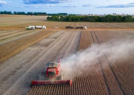 Valor de produção de culturas agrícolas do país subiu 18,4% em 2025