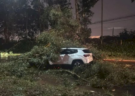Temporal com ventos acima de 85 km/h deixa rastro de destruição em Campo Grande