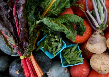 Conheça dez frutas e hortaliças queridinhas dos especialistas em nutrição