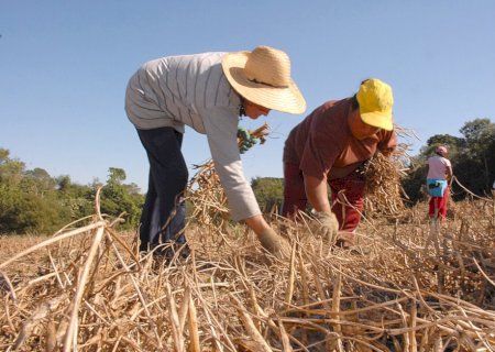 Agricultura familiar terá R$ 40,2 milhões de crédito extraordinário do governo federal