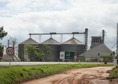Mais grãos, menos espaço: painel revela desafio da armazenagem em MS