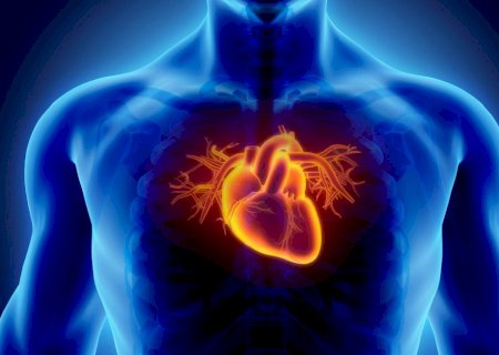 Japão realiza primeira cirurgia cardíaca com células-tronco