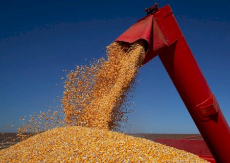 Preços ao produtor rural sobem 4,05% no trimestre, mas acumulam queda de 6,83% no ano