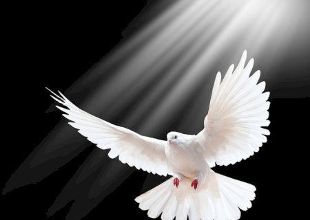 'Chega de ódio' a importância de combater a inveja, a perseguição e promover uma cultura de paz, respeito e amor ao próximo