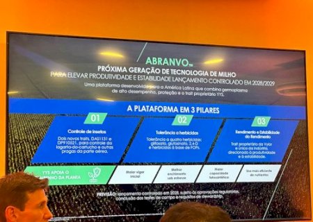 Milho safrinha ganha nova biotecnologia contra lagartas na safra 28/29