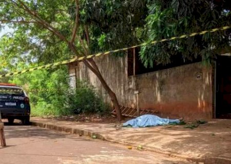 Idoso morre após cair de escada enquanto podava árvore