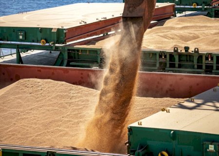 Exportações de farelo de soja crescem 11,7% e reforçam pressão sobre preços no mercado interno