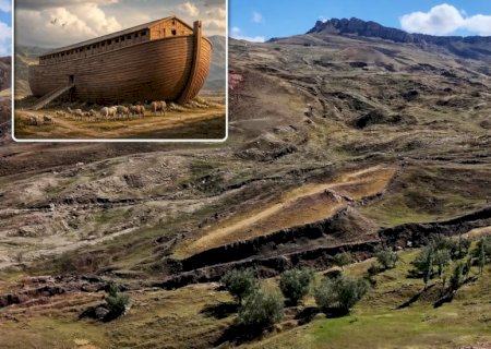 Pesquisador da Arca de Noé pede paciência: “É um projeto de vários anos”