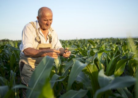 Novo marco do seguro rural protege subvenção e cria incentivos ligados ao crédito