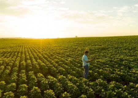 Preço da terra reduz vantagem competitiva no agro
