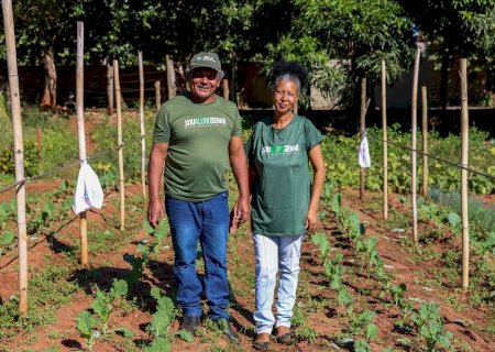 Senar/MS ajuda casal de produtores a abandonar o fiado e recuperar a renda da horta