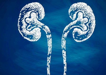 Sal, volume de água e carambola: o que impacta a saúde renal | Letra de Médico