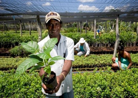 Em Mato Grosso do Sul, órgãos públicos já contrataram mais de R$ 4,2 milhões de microempreendedores e agricultores familiares pelo Contrata+Brasil