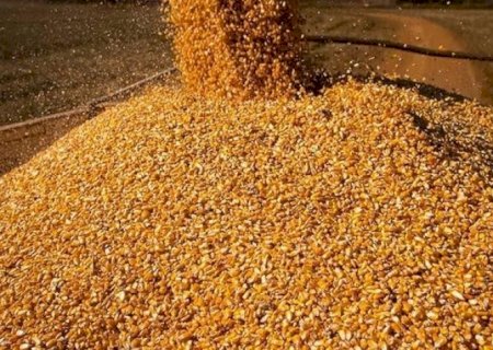 Conab vê nova safra recorde em 2026/27, com alta na soja e queda no arroz
