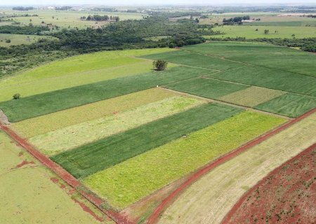 Manejo do solo eleva produtividade da soja em até 11,1% por nível de avanço