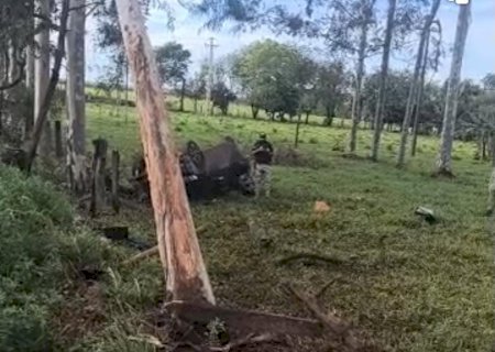 Motorista morre após sair da pista e colidir contra eucalipto na BR-376, em Fátima do Sul