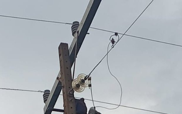 Morador de Batayporã relata dias sem energia e prejuízos