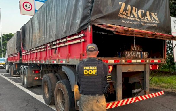 DOF apreende mais de 3,5 toneladas de drogas em carreta na divisa entre MS e São Paulo