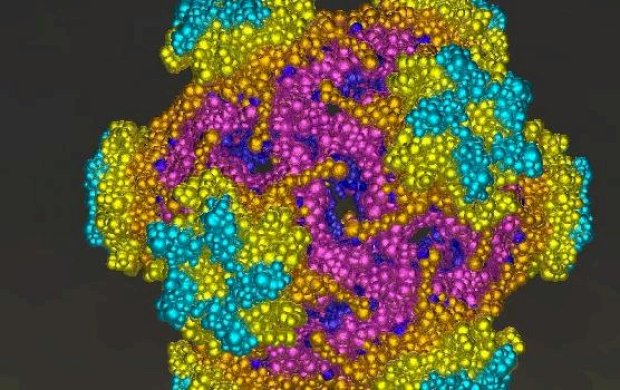 HPV: os primeiros números do novo teste para prevenção do câncer de colo do útero no SUS